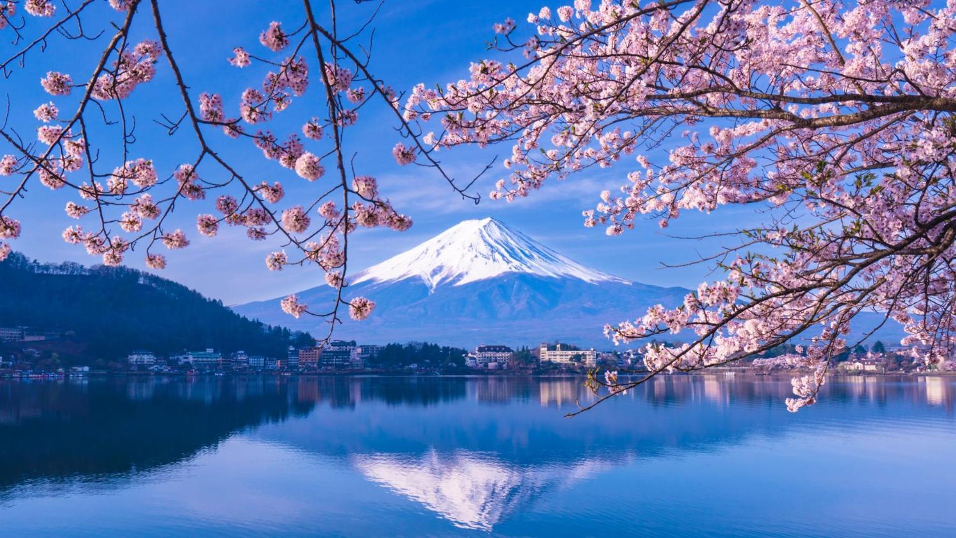 Moonlightvilla 河口湖大橋 Fujikawaguchiko Exterior foto